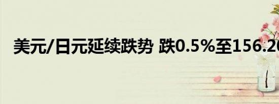 美元/日元延续跌势 跌0.5%至156.20日元
