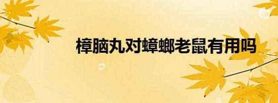 樟脑丸对蟑螂老鼠有用吗