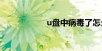 u盘中病毒了怎么办