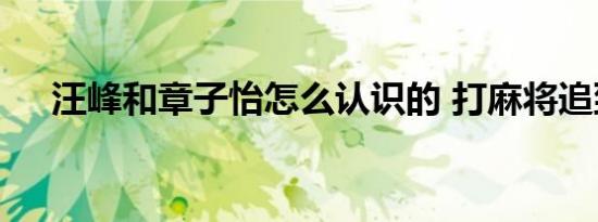 汪峰和章子怡怎么认识的 打麻将追到的
