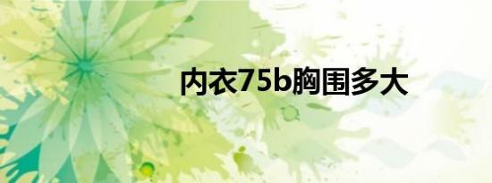 内衣75b胸围多大