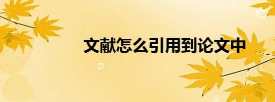 文献怎么引用到论文中
