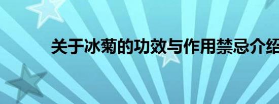 关于冰菊的功效与作用禁忌介绍