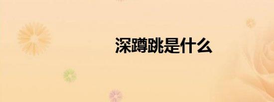深蹲跳是什么