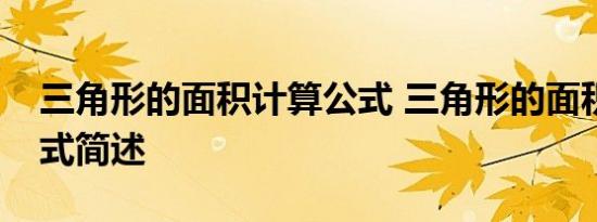 三角形的面积计算公式 三角形的面积计算公式简述