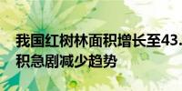 我国红树林面积增长至43.8万亩 初步扭转面积急剧减少趋势