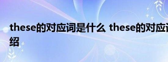 these的对应词是什么 these的对应词简单介绍