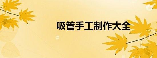 吸管手工制作大全