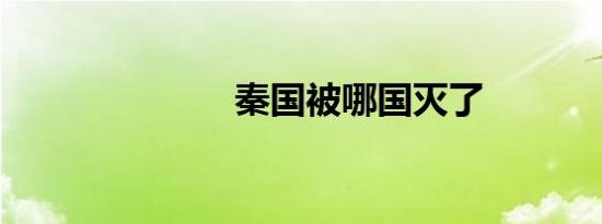 秦国被哪国灭了