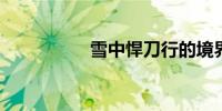 雪中悍刀行的境界划分