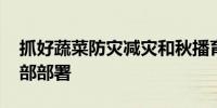 抓好蔬菜防灾减灾和秋播育苗工作 农业农村部部署