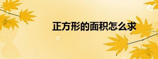 正方形的面积怎么求