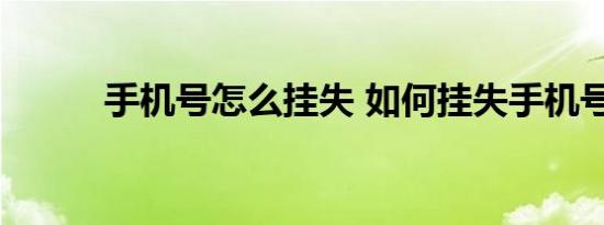 手机号怎么挂失 如何挂失手机号
