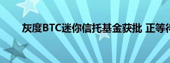 灰度BTC迷你信托基金获批 正等待S