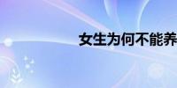 女生为何不能养泰迪