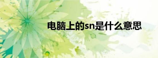 电脑上的sn是什么意思