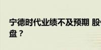 宁德时代业绩不及预期 股价大跌会否拖累大盘？
