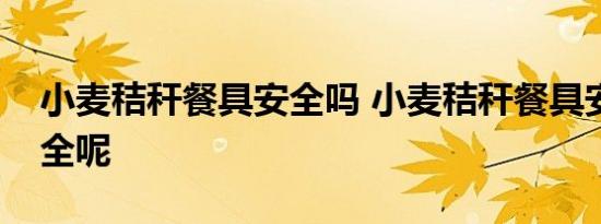 小麦秸秆餐具安全吗 小麦秸秆餐具安全不安全呢