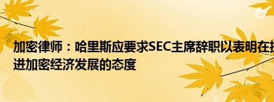 加密律师：哈里斯应要求SEC主席辞职以表明在执政期间促进加密经济发展的态度