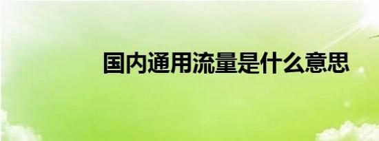 国内通用流量是什么意思