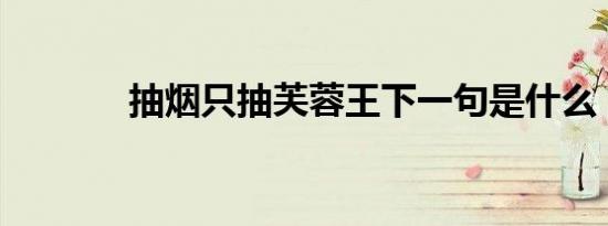抽烟只抽芙蓉王下一句是什么