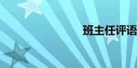 班主任评语