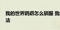 我的世界鹦鹉怎么驯服 我的世界鹦鹉驯服方法