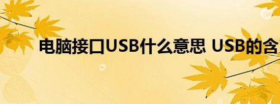 电脑接口USB什么意思 USB的含义