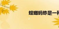螳螂蚂蚱是一种吗