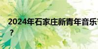 2024年石家庄新青年音乐节可以买多少张票？