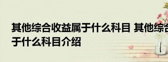 其他综合收益属于什么科目 其他综合收益属于什么科目介绍