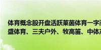 体育概念股开盘活跃莱茵体育一字涨停金陵体育涨超8%力盛体育、三夫户外、牧高笛、中体产业等集体高开