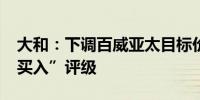 大和：下调百威亚太目标价至11港元 重申“买入”评级