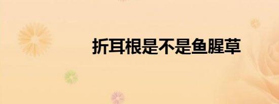 折耳根是不是鱼腥草