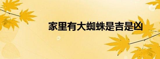 家里有大蜘蛛是吉是凶