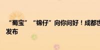 “蜀宝”“锦仔”向你问好！成都世运会口号、吉祥物正式发布