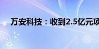 万安科技：收到2.5亿元项目定点通知书