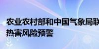 农业农村部和中国气象局联合发布一季稻高温热害风险预警