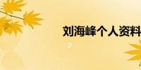 刘海峰个人资料简介