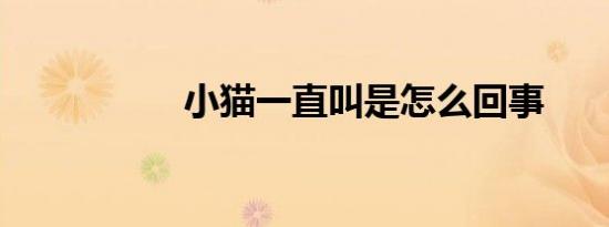 小猫一直叫是怎么回事