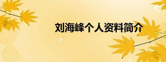 刘海峰个人资料简介