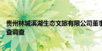 贵州林城溪湖生态文旅有限公司董事、总经理张健民接受审查调查