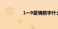1一9爱情数字什么意思