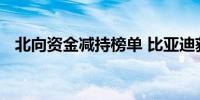 北向资金减持榜单 比亚迪获减持市值最多