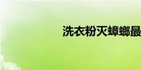 洗衣粉灭蟑螂最有效
