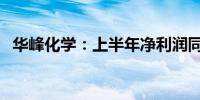 华峰化学：上半年净利润同比增长11.74%