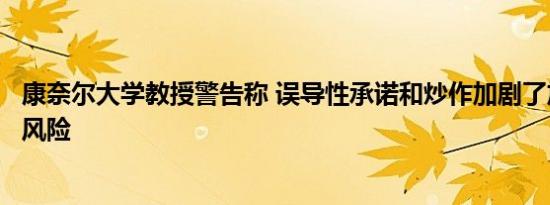 康奈尔大学教授警告称 误导性承诺和炒作加剧了加密货币的风险