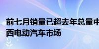 前七月销量已超去年总量中外品牌纷纷布局巴西电动汽车市场