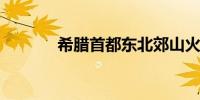 希腊首都东北郊山火得到控制