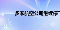 多家航空公司继续停飞中东航班